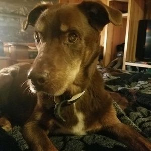 Meet your Posher, Mark